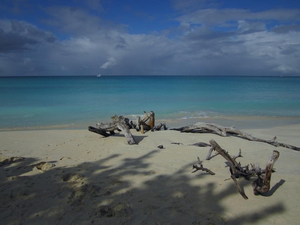 Jolly Harbour Antigua Chiama Italia Villas חדר תמונה
